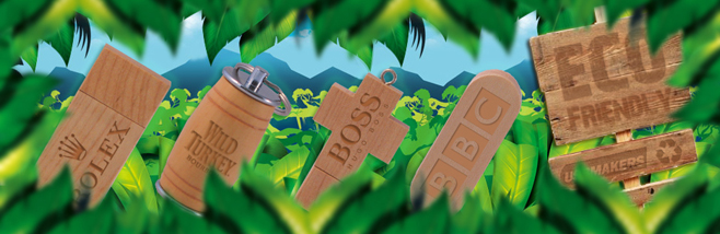Wooden Eco Friendly USB Memory Sticks