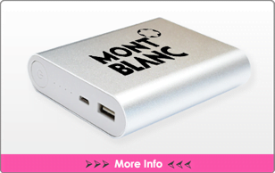 Chicago Power Bank