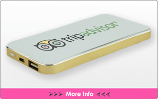 Georgia Power Bank