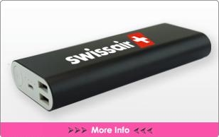 Nevada Power Bank
