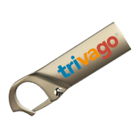 Pegasus Type-C USB Drive