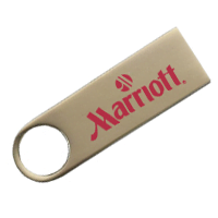 Perseus Type-C USB Drive