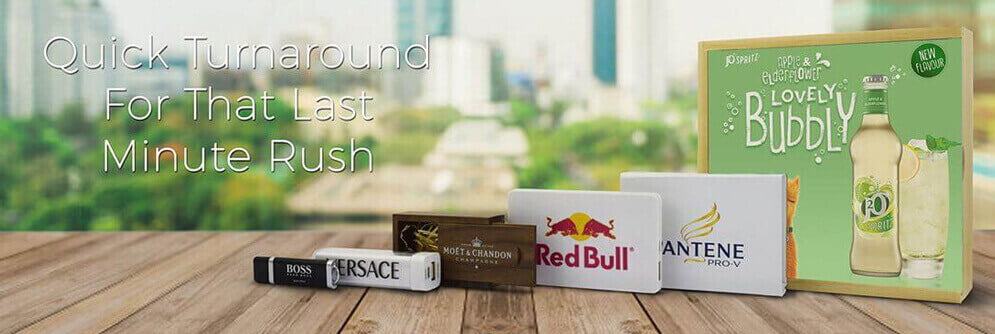 Express Service Logo Printed USB Sticks