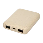 Albany Power Bank