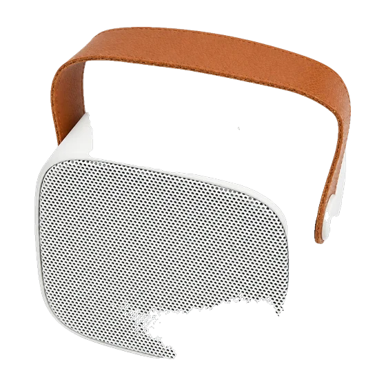 Alhambra Speaker with your branding