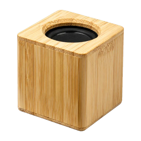 Astoria Speaker with your branding