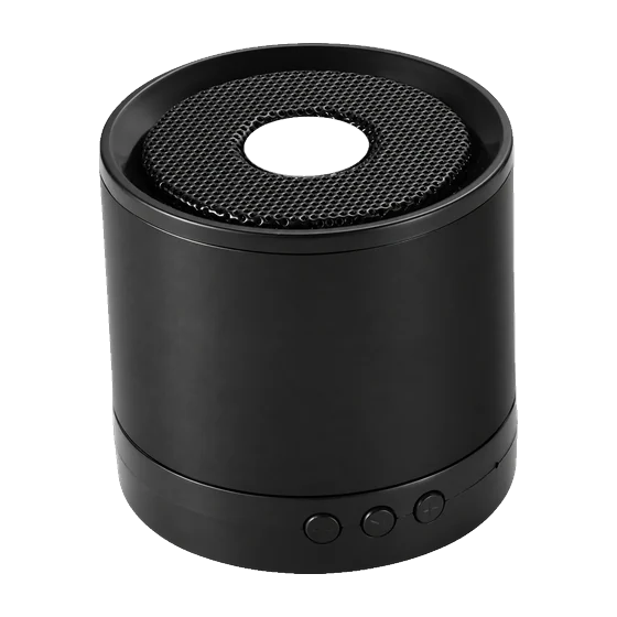 Barbican Speaker with your branding