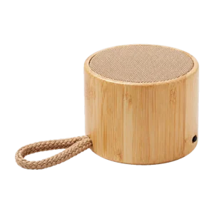 Barrowland Speaker