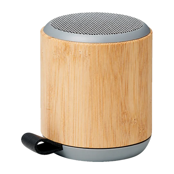 Bayreuth Speaker with your branding