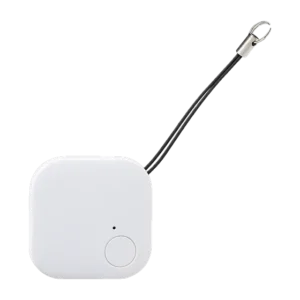 Bearing Key Finder
