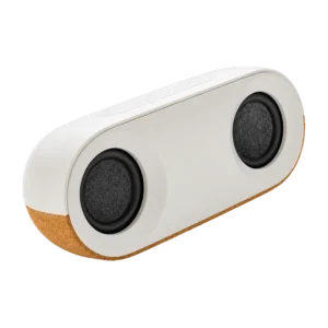 Bridgewater Speaker