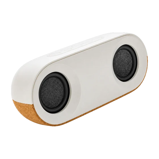 Bridgewater Speaker with your branding