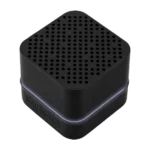 Brixton Speaker