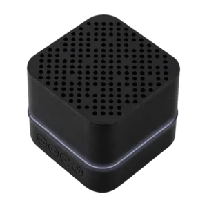 Brixton Speaker