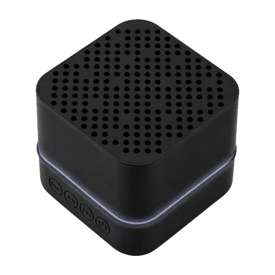 Brixton Speaker with your branding