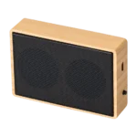 Coliseum Speaker