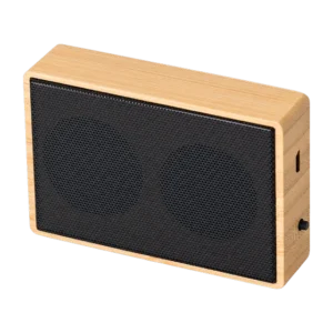 Coliseum Speaker