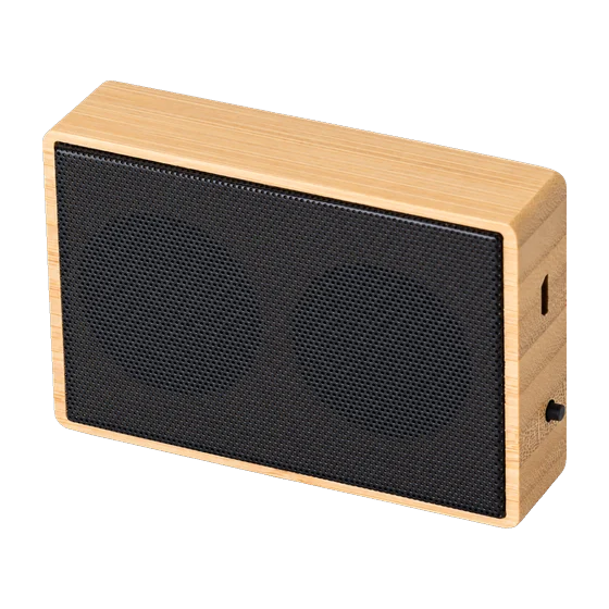 Coliseum Speaker with your branding