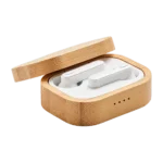 Deneb Earbuds