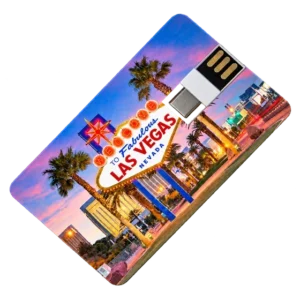 Dual Card USB