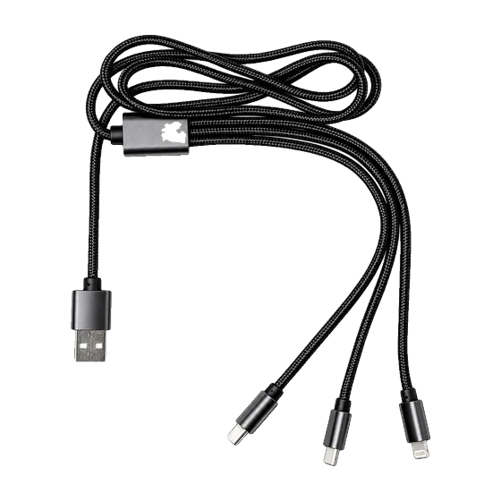 Erice Charging Cable with your branding
