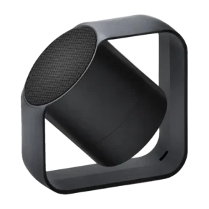 Fillmore Speaker