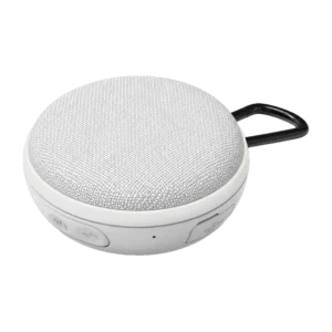 Hollywood Speaker