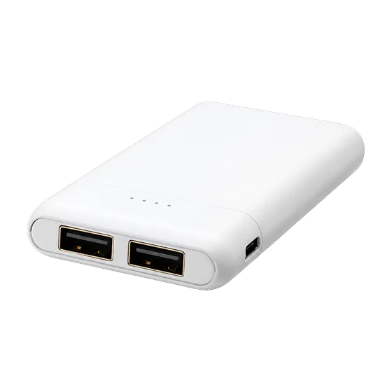 Lansing Power Bank with your branding
