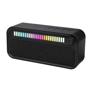 Lowry Speaker