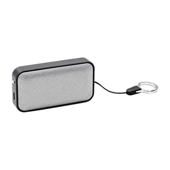 Lyceum Speaker with your branding