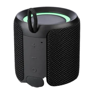 Massey Speaker