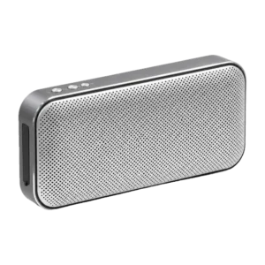 Palladium Speaker