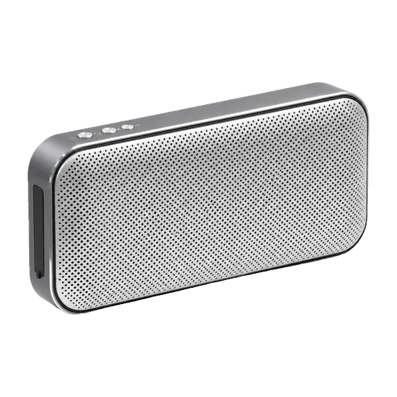 Palladium Speaker with your branding
