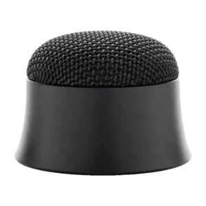 Paramount Speaker