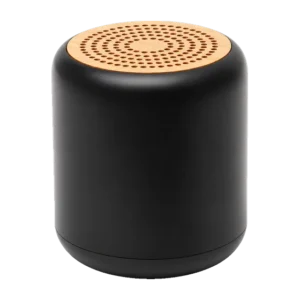 Proms Speaker