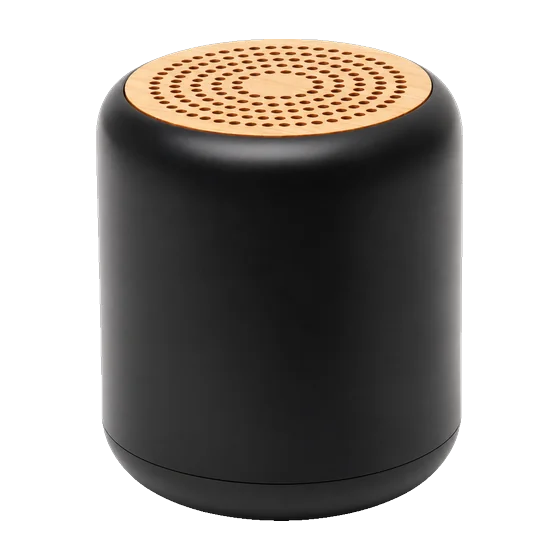 Proms Speaker with your branding