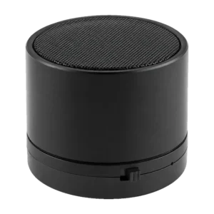 Ravinia Speaker