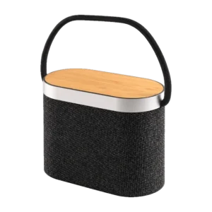 Ryman Speaker
