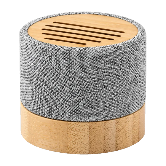 Sage Speaker with your branding
