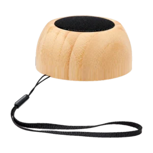 Salzburg Speaker