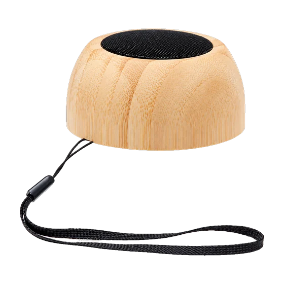 Salzburg Speaker with your branding