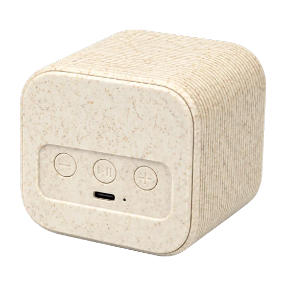 Scala Speaker with your branding