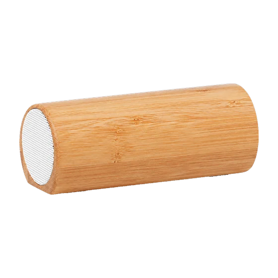 Sheldonian Speaker with your branding