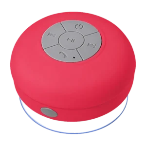 Tivoli Speaker