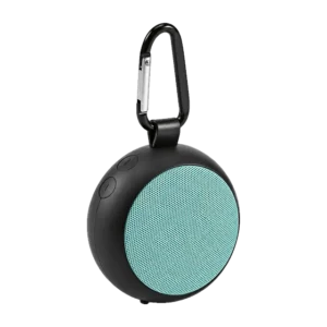 Wembley Speaker