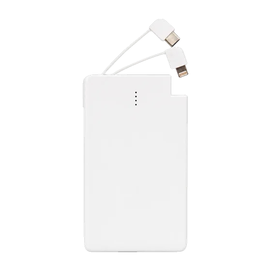 Winnipeg Power Bank with your branding